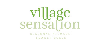 Village Sensation